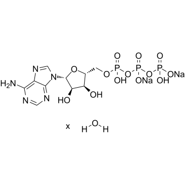 腺苷-5'-三磷酸二钠盐水合物图片