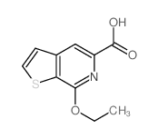 Thieno[2,3-c]pyridine-5-carboxylic acid, 7-ethoxy-结构式