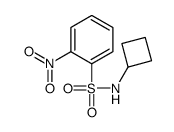 N-cyclobutyl-2-nitrobenzenesulfonamide Structure