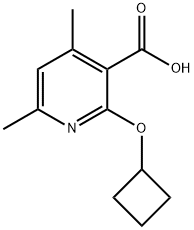 2-环丁氧基-4,6-二甲基吡啶-3-羧酸结构式