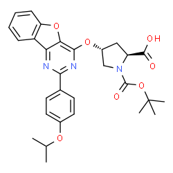 (2S,4R)-1-(叔丁氧基羰基)-4-((2-(4-异丙氧基苯基)苯并呋喃并[3,2-d]嘧啶-4-基)氧基)结构式