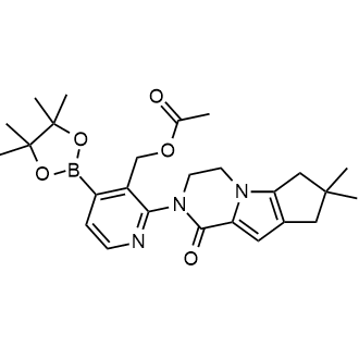 (2-(7,7-Dimethyl-1-oxo-1,3,4,6,7,8-hexahydro-2H-cyclopenta[4,5]pyrrolo[1,2-a]pyrazin-2-yl)-4-(4,4,5,5-tetramethyl-1,3,2-dioxaborolan-2-yl)pyridin-3-yl)methyl acetate Structure