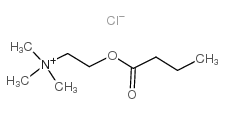 氯化丁酰胆碱结构式