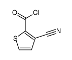 2-Thiophenecarbonyl chloride, 3-cyano- (9CI) Structure