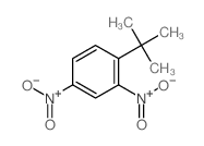 1-叔丁基-2,4-二硝基苯结构式