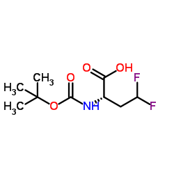 (S)-2-(叔丁氧基羰基氨基)-4,4-二氟丁酸图片