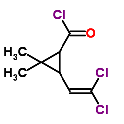 3-(2,2-Dichlorovinyl)-2,2-dimethylcyclopropanecarbonyl chloride structure