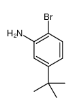 2-溴-5-(叔丁基)苯胺结构式
