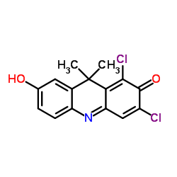 1,3-二氯-7-羟基-9,9-二甲基-2(9H)-吖啶酮结构式