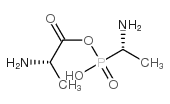 ((1R)-1-((2S)-2-Aminopropionamido)ethyl)phosphonic acid结构式