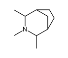 2,3,4-trimethyl-3-azabicyclo[3.2.1]octane Structure