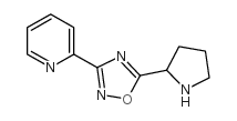 2-(5-PYRROLIDIN-2-YL-[1,2,4]OXADIAZOL-3-YL)-PYRIDINE Structure