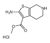 2-氨基-4,5,6,7-四氢噻吩并[2,3-c]吡啶-3-羧酸甲酯盐酸盐结构式