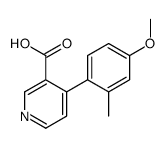 4-(4-methoxy-2-methylphenyl)pyridine-3-carboxylic acid结构式