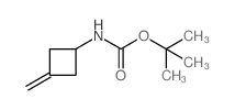 (3-亚甲基环丁基)氨基甲酸叔丁酯结构式