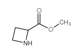 Azetidine-2-carboxylic acid methyl ester Structure