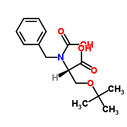 DL-3-叔丁氧基-N-羧基丙氨酸,N-苄基酯结构式