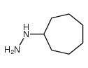 cycloheptylhydrazine Structure