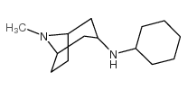N-cyclohexyl-8-methyl-8-azabicyclo[3.2.1]octan-3-amine Structure