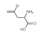 2-amino-4-bromo-pent-4-enoic acid结构式