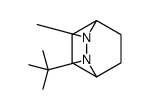 3-tert-butyl-2-methyl-2,3-diazabicyclo[2.2.2]octane结构式