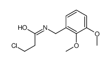 3-chloro-N-[(2,3-dimethoxyphenyl)methyl]propanamide结构式