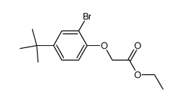 (2-bromo-4-tert-butyl-phenoxy)-acetic acid ethyl ester Structure