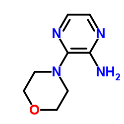 2-氨基-3-吗啉-4-基吡嗪结构式