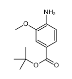4-氨基-3-甲氧基苯甲酸叔丁酯结构式