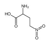4-nitro-2-aminobutyric acid结构式