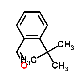 2-(1,1-二甲基乙基)-苯甲醛结构式