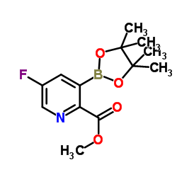 Methyl 5-fluoro-3-(4,4,5,5-tetramethyl-1,3,2-dioxaborolan-2-yl)-2-pyridinecarboxylate Structure