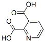 吡啶二羧酸结构式
