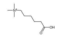 5-carboxypentyl(trimethyl)azanium Structure
