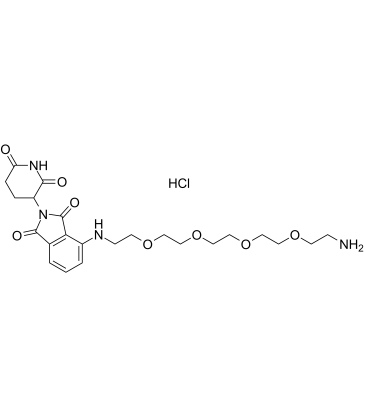 Pomalidomide-PEG4-C2-NH2 hydrochloride图片