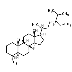 (4α,5α)-4-Methylstigmastane picture