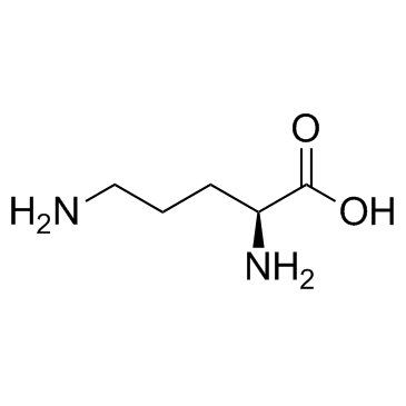 鸟氨酸结构式