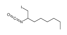 1-iodo-2-isocyanatooctane Structure