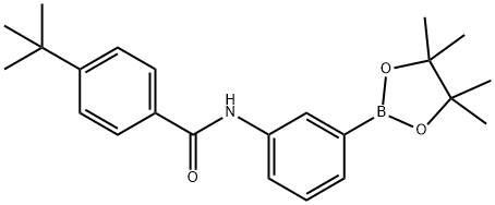 3-(4-叔丁基苯基甲酰基氨基)苯基硼酸频哪醇酯图片