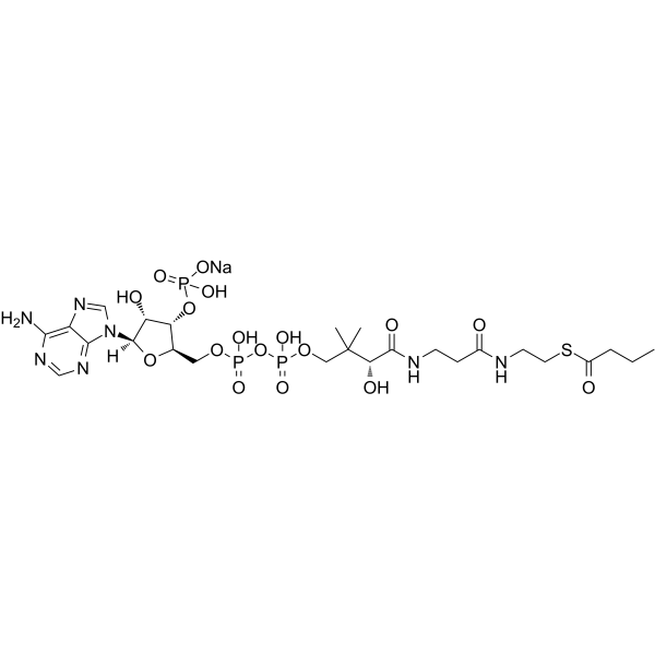 Butyryl-Coenzyme A (sodium salt)结构式