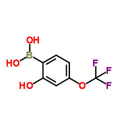 2-Hydroxy-4-(trifluoromethoxy)phenylboronic acid结构式