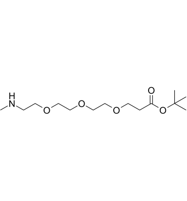 Methylamino-PEG3-t-butyl ester Structure