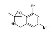 2,4-dibromo-6-[(tert-butylamino)methyl]phenol Structure