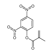 2,4-二硝基苯基甲基丙烯酸酯结构式