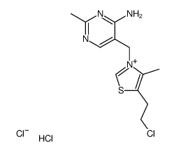 3-(4-amino-2-methyl-pyrimidin-5-ylmethyl)-5-(2-chloro-ethyl)-4-methyl-thiazolium, chloride-hydrochloride structure