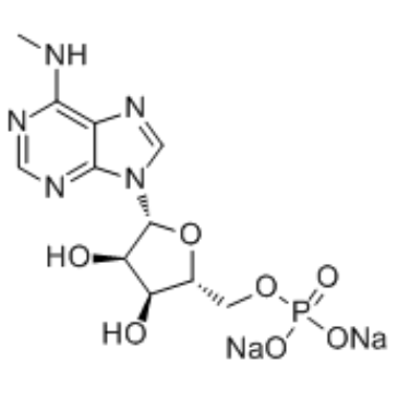 N6-甲基腺苷 5'-单磷酸酯钠盐结构式