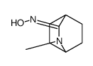 N-(3-methyl-3-azabicyclo[2.2.2]octan-2-ylidene)hydroxylamine结构式