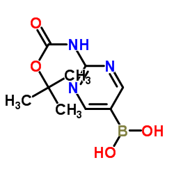 [2-[(tert-Butoxycarbonyl)amino]pyrimidin-5-yl]boronic acid Structure