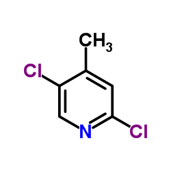 2,5-二氯-4-甲基吡啶结构式