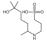 3-[(6-hydroxy-6-methylheptan-2-yl)amino]propane-1-sulfonic acid Structure